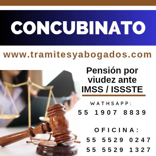 Acreditación de CONCUBINATO en la CDMX para obtener pensión por viudez.
CONTACTO 55 1907 8839