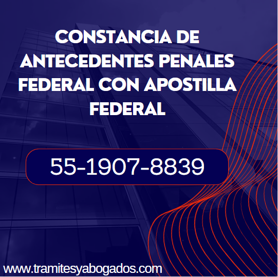 Constancia de antecedentes penales federal con apostilla federal
CONTACTO 55-1907-8839